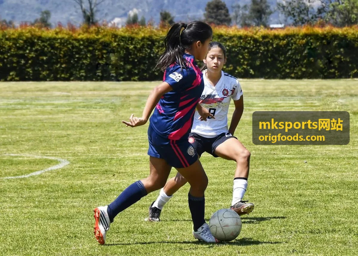 mksports网站数据看板的比赛技术统计画面