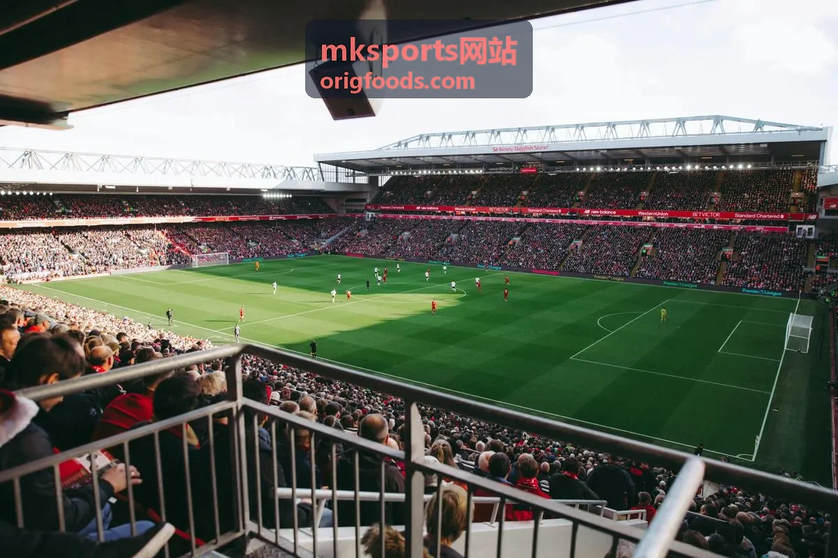 mksports网站主客场数据对比面板界面