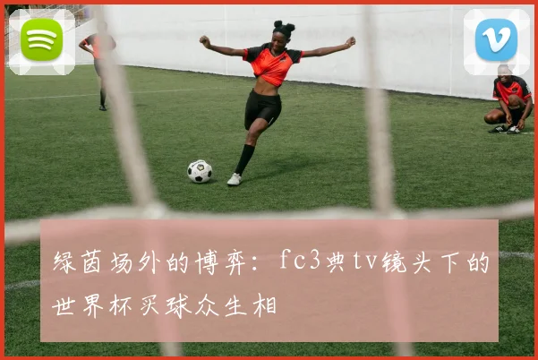 绿茵场外的博弈：fc3典tv镜头下的世界杯买球众生相