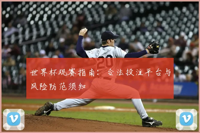 世界杯观赛指南：合法投注平台与风险防范须知