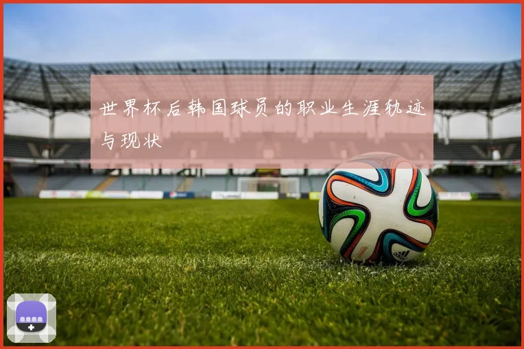 世界杯后韩国球员的职业生涯轨迹与现状
