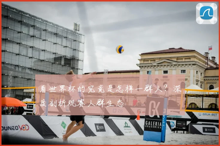 看世界杯的究竟是怎样一群人？深度剖析观赛人群生态