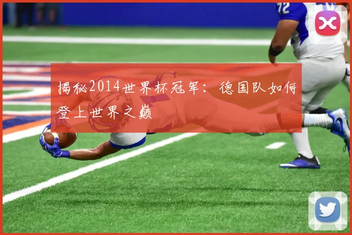 揭秘2014世界杯冠军：德国队如何登上世界之巅