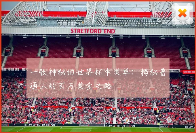 一张神秘的世界杯中奖单：揭秘普通人的百万奖金之路