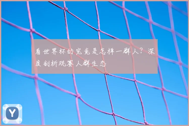 看世界杯的究竟是怎样一群人？深度剖析观赛人群生态